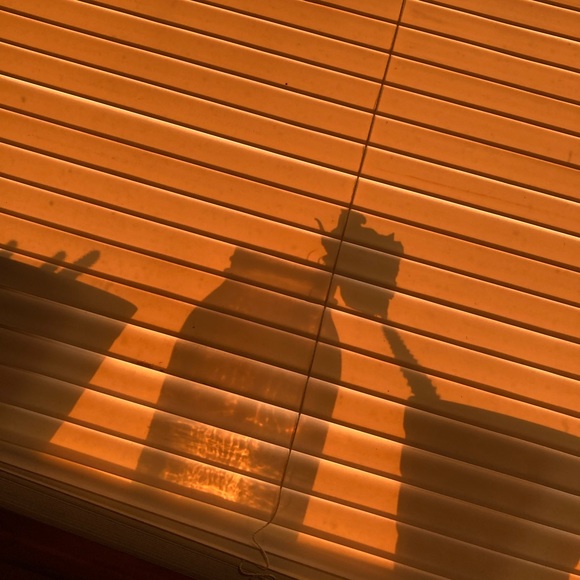 Meet your Posher, Shelby - Picture 1 of 1